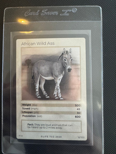 Life tcg holos - life,